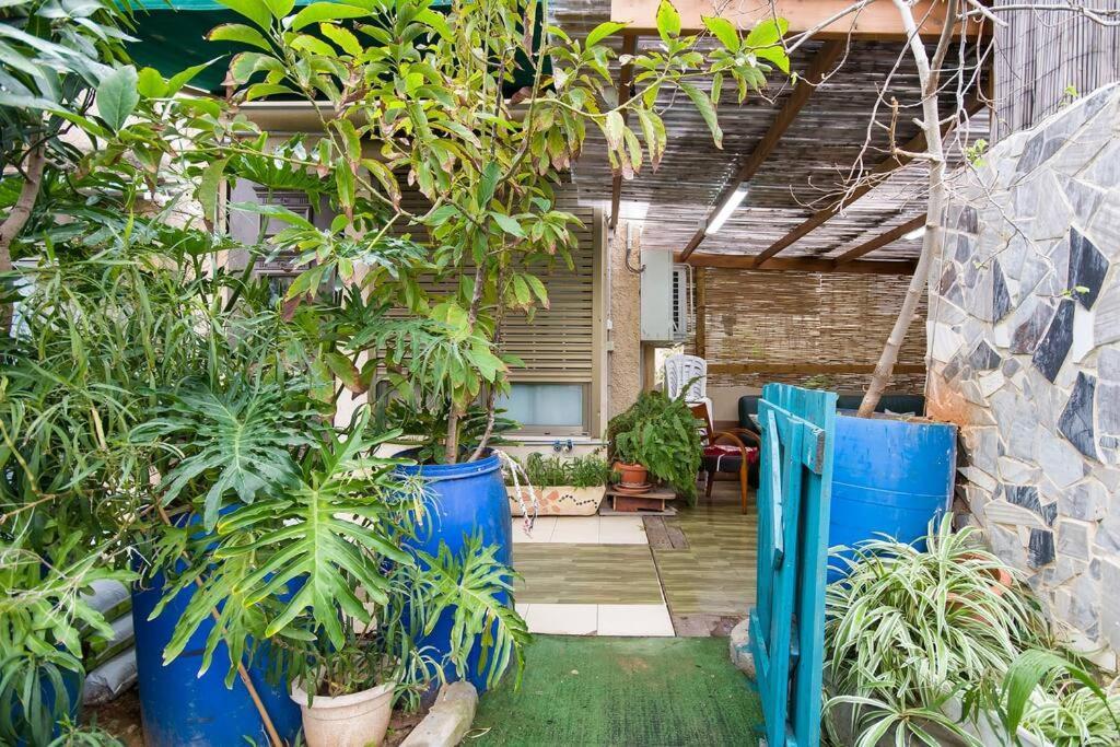 Ahuzat Shaul - Apartment ハデラ エクステリア 写真