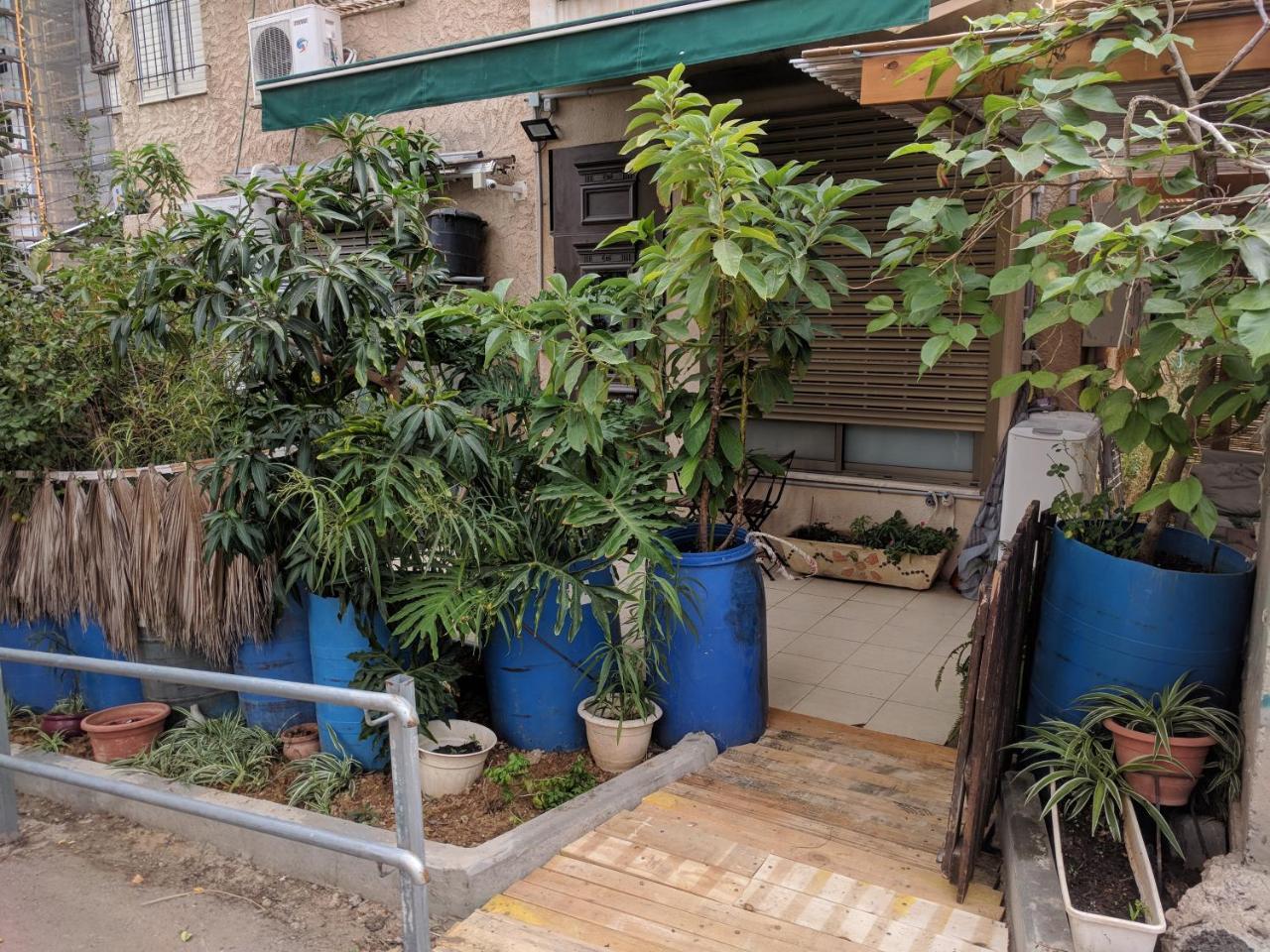 Ahuzat Shaul - Apartment ハデラ エクステリア 写真